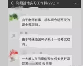 玉米的毕业性论文