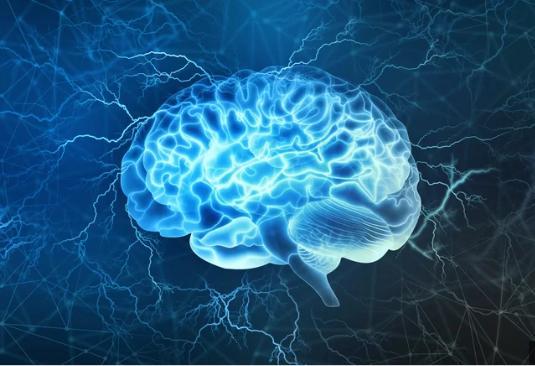 你的大脑中含有未知的磁性粒子,七个大脑切片让科学家很困惑 