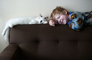高清 美摄影师拍儿子与宠物猫的有爱时刻 