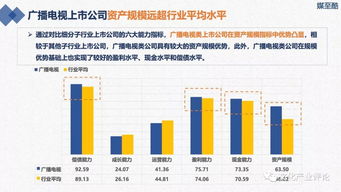 上市公司应该公开那些财务信息然后有什么影响