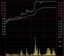 股票帐号上出现基金T+N卖出倒帐什么意思