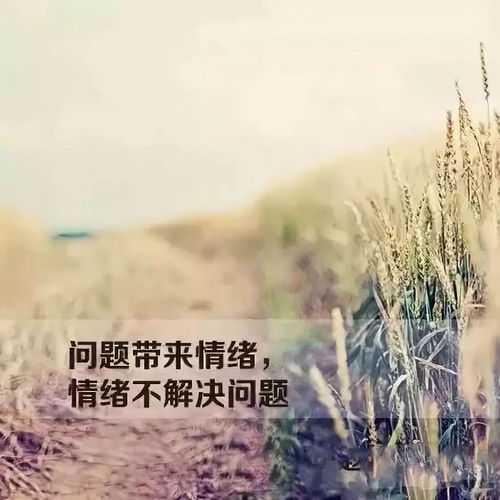 亚洲欧美人成网站aaaa