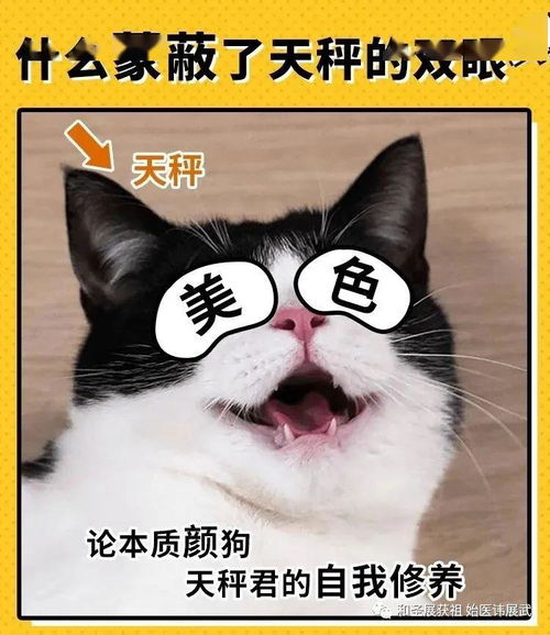 包拯府高光的御猫护卫展昭 原来包容是这妙语 包得起,容得下 乱花迷眼,惜指失掌 薅羊毛虽悲欣交集,但面朝星辰大海,心有万里江山 生活 