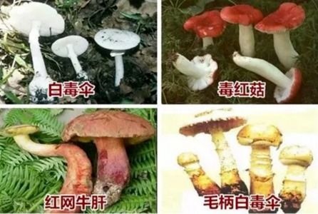 我家里进了白骨精,一抱都是骨头没有肉 女子紧急报警,真相太意外