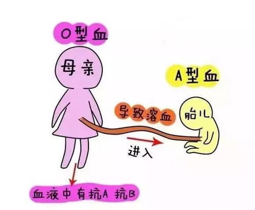 胎死腹中之因