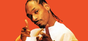 Snoop Dogg Snoop Lion 网易云音乐 