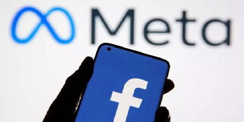 泄露5亿用户信息 Meta收2.65亿欧元巨额罚单