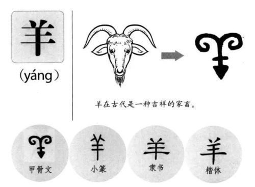 羊的象形字图片 图片欣赏中心 急不急图文 Jpjww Com