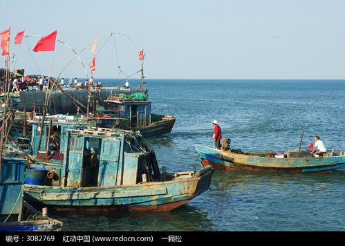 龙口海边停靠的渔船高清图片下载 红动网 