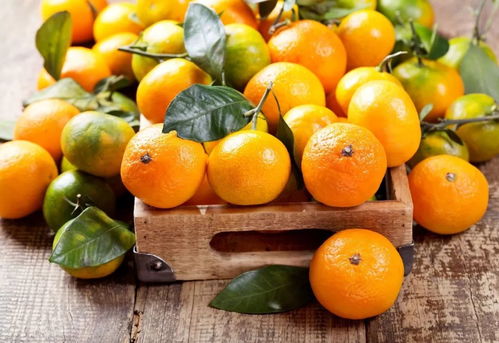 一个橘子5味 药 ,但不能和它一起吃,特伤肝 赶紧告诉身边的人