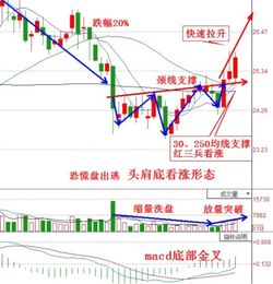 最后一批下跌动能将来自于哪些股？