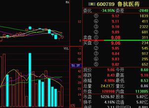 600789鲁抗医药有上升的空间么?