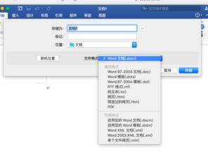 Mac word如何导出PDF 