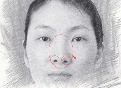 鼻翼大的女人面相 鼻翼不明显的人面相