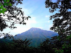 集华山之险 黄山之奇 庐山之秀,真不敢相信这个世外桃源你们居然还没来过 