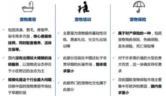 2017年中国宠物行业产业链分析