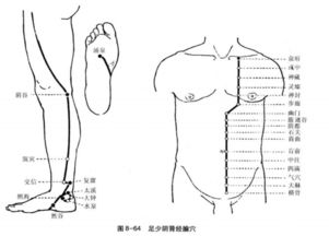 足少阴肾经腧穴的主治病症有哪些 