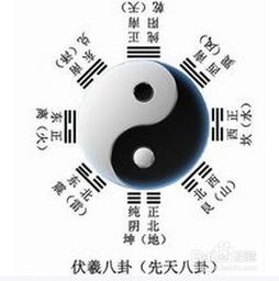 八字和五行互补的关系 