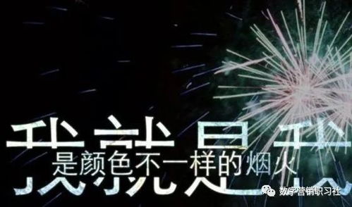 数字营销对公司的作用是什么 是否对所有企业都有效