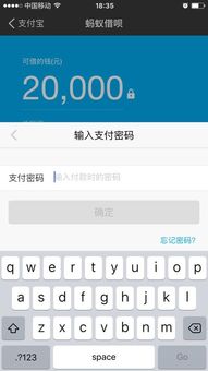 为什么我的支付宝借呗开通了没有信用额度