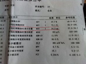 做地贫检查要多少钱，做地贫全套检查大概需要多少钱一般的诊所可以做吗