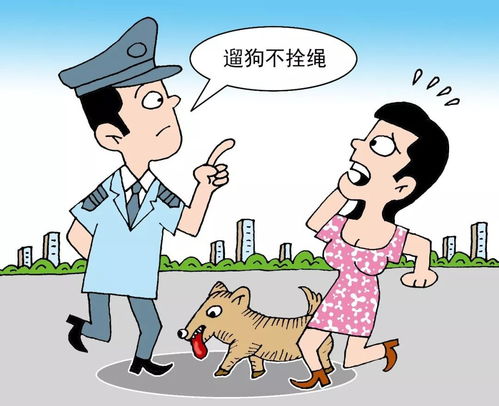 绵阳养犬新规 每天8 21时禁止进公园 广场 绿道 遛狗