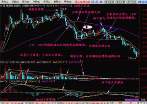 谁有唐能通的短线是银的炒股软件