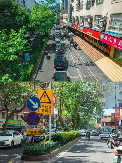 南京压马路指南丨8条特色街区不可错过 