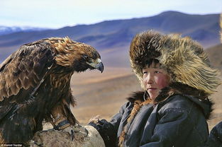 难得一见的蒙古游牧民族的迷人生活 人与野兽相伴相生 