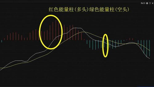 用什么方法能选出股价下跌而MACD上涨的股票