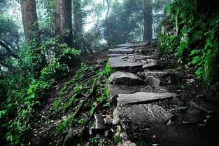 风水华盖山(风水华盖山的形状)