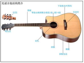 初学者怎么学吉他 