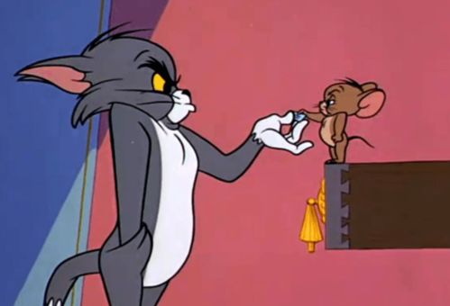 猫和老鼠 是哪个国家的动画片 哪个角色更贴近生活