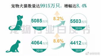 阿猫阿狗一年消费2000亿元 单只宠物年消费将达5561元