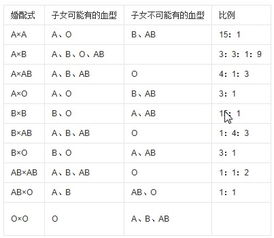 父母都是b型血,女儿是b型血的几率大还是o型血的几率大 