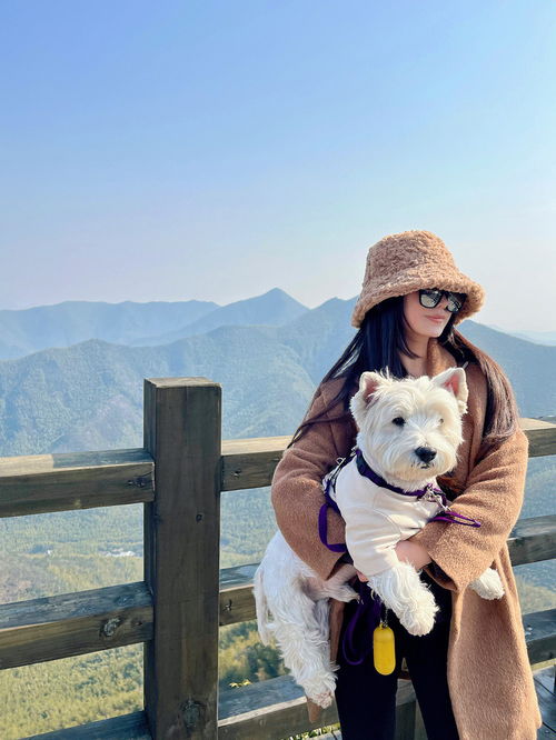 江浙沪带狗旅游溧阳宠物友好景区游玩攻略 