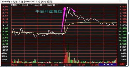 股票分时图中出现心电图似的脉冲走势应怎样理解？