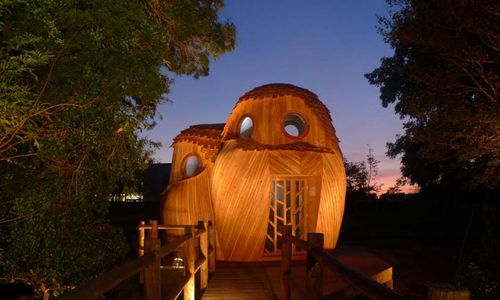 一个猫头鹰形状的法国小木屋,让你在与世隔绝的环境中入睡