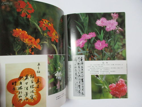 画家 周 英 签名本画册 16开 百花诗词书法集锦 .1990年初版 93页 至同一上款著名画家 