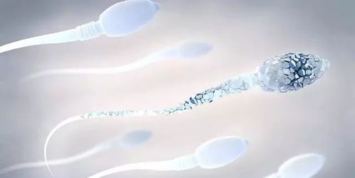 如何判断男人精子健不健康 符合6个标准,才是优质精子