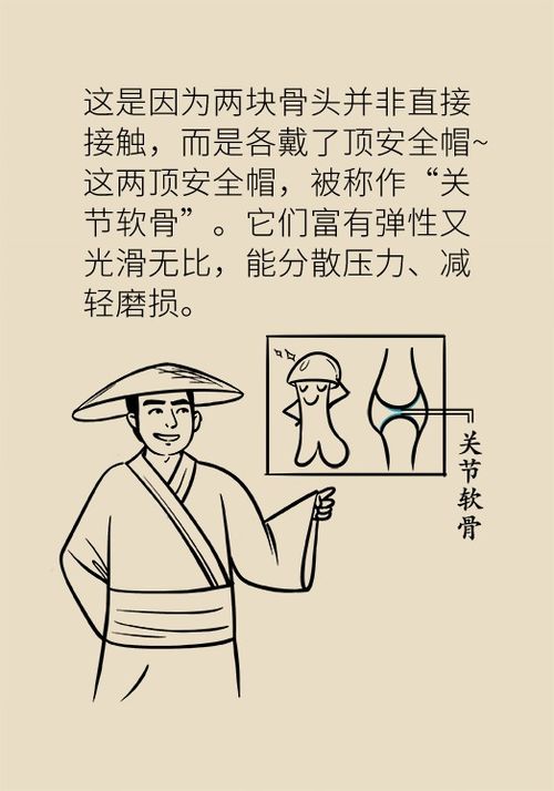 爬楼难,起床僵,关节痛得要造反 这究竟是什么病