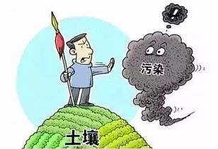 土壤污染的防治措施有哪些？