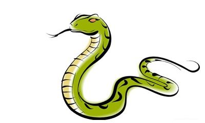 详解 十二生肖之属蛇的爱情之谜 