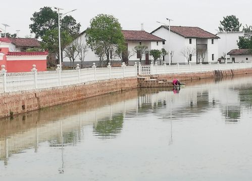 江西抚州临川嵩湖乡