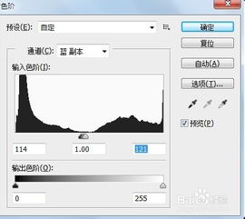 学会使用通道和调整图层调色 图层的应用 