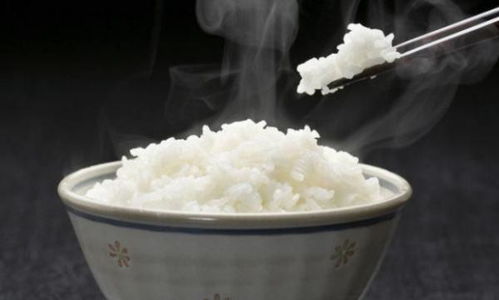 rice是不是可數(shù)