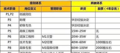 科技类公司如何纳税