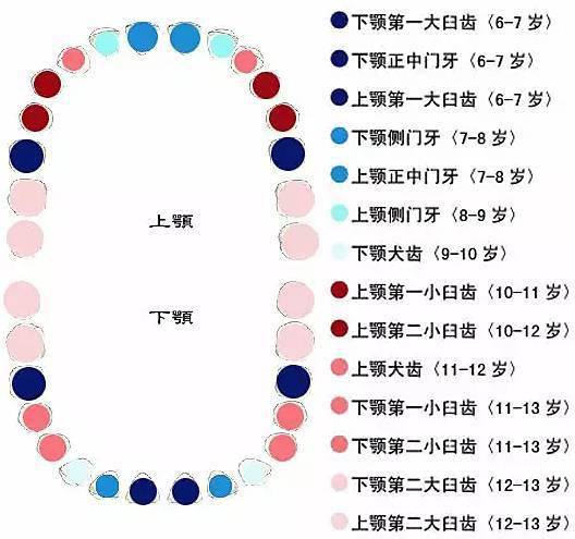 换牙期不注意这几件事,影响孩子一辈子 家长必看