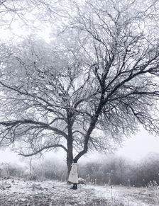 听见下雪的声音