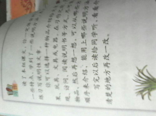 作文400字,求学霸 